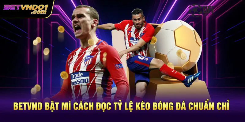 Betvnd bật mí cách đọc tỷ lệ kèo bóng đá chuẩn chỉ