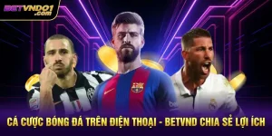 Cá Cược Bóng Đá Trên Điện Thoại - Betvnd Chia Sẻ Lợi Ích