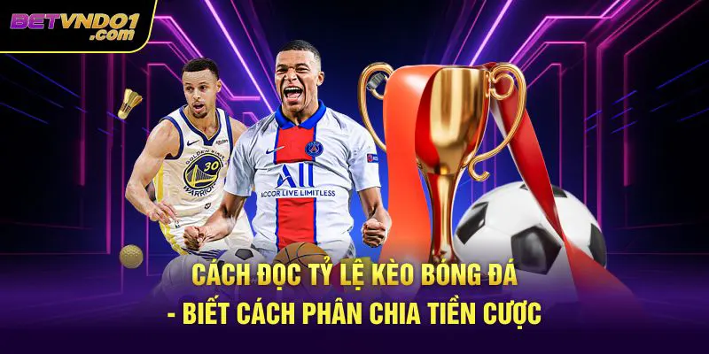 Cách đọc tỷ lệ kèo bóng đá - Biết cách phân chia tiền cược