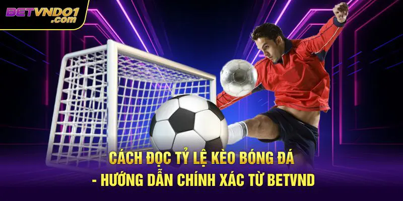 Cách Đọc Tỷ Lệ Kèo Bóng Đá - Hướng Dẫn Chính Xác Từ Betvnd