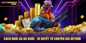 Cách Nuôi Gà Đá Khỏe - Bí Quyết Từ Chuyên Gia Betvnd