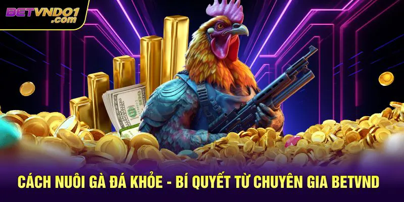 Cách Nuôi Gà Đá Khỏe - Bí Quyết Từ Chuyên Gia Betvnd