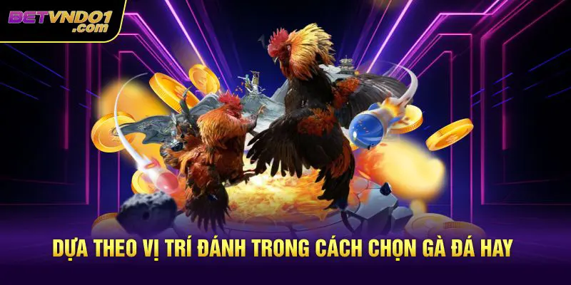 Dựa theo vị trí đánh trong cách chọn gà đá hay