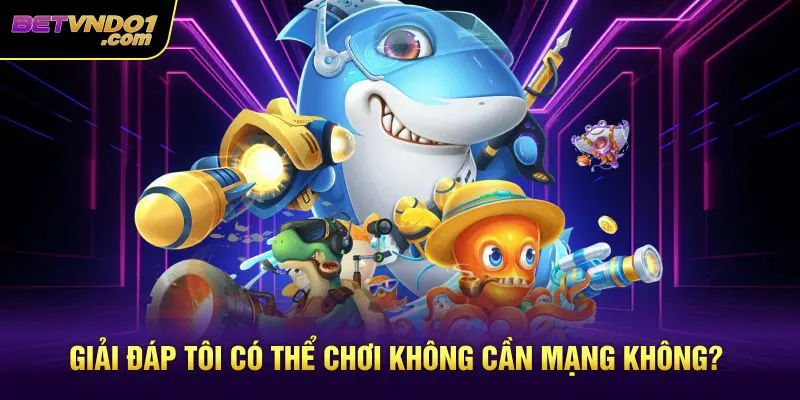 Giải đáp tôi có thể chơi không cần mạng không?