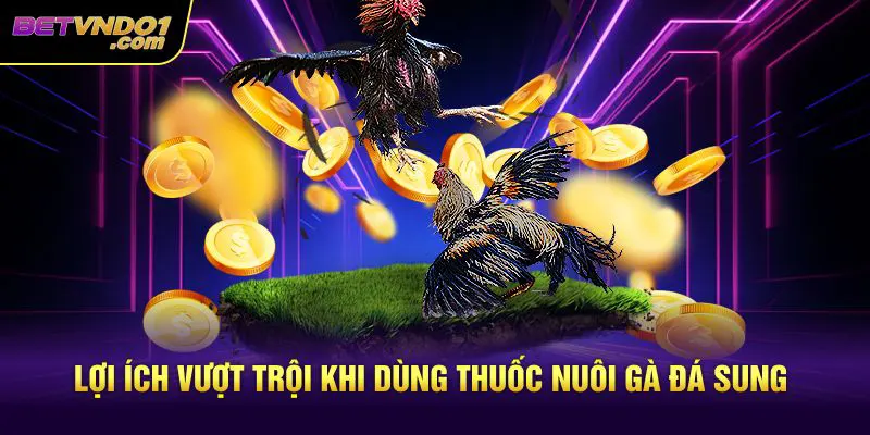 Lợi ích vượt trội khi dùng thuốc nuôi gà đá sung