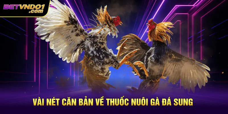 Vài nét căn bản về thuốc nuôi gà đá sung