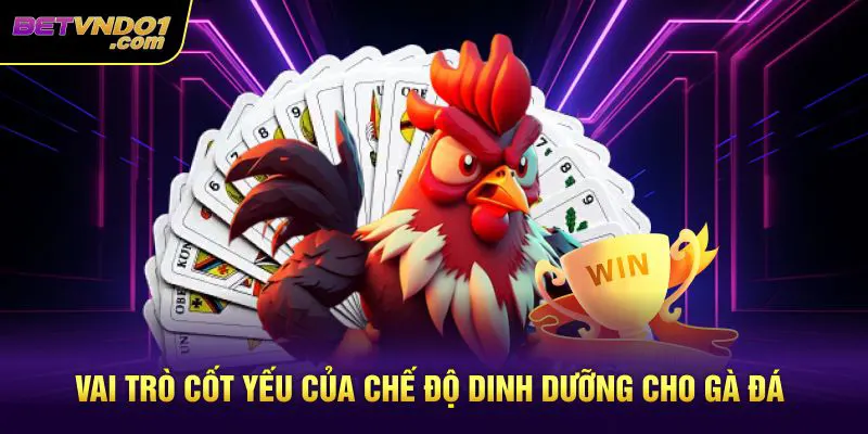 Vai trò cốt yếu của chế độ dinh dưỡng cho gà đá