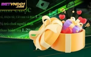 Cực Sốc Với Ngàn Khuyến Mãi Cược Bóng Đá Tại Betvnd