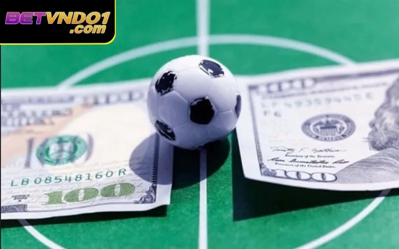 Chơi cá độ bóng đá trực tuyến tại nhà cái Betvnd