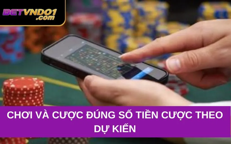 Chơi và cược đúng số tiền cược theo dự kiến