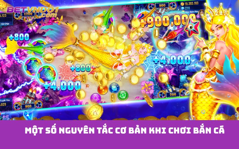 Một số nguyên tắc cơ bản khi chơi bắn cá