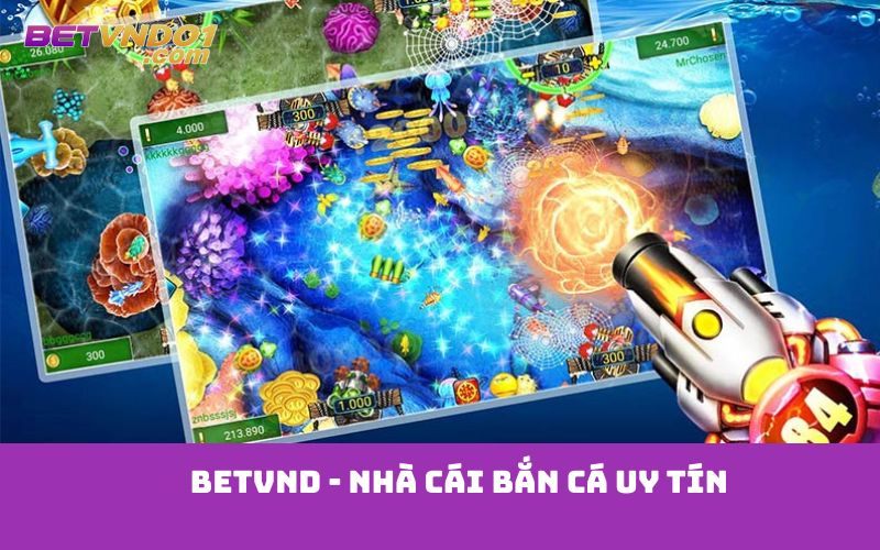 Betvnd - Nhà cái bắn cá uy tín