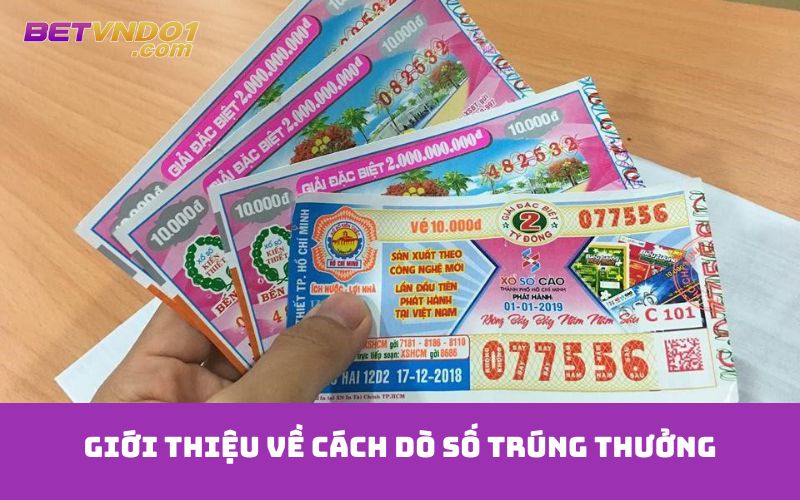 Giới thiệu về cách dò số trúng thưởng
