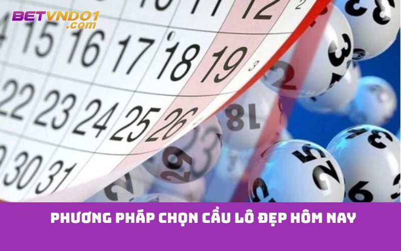 Phương pháp chọn cầu lô đẹp hôm nay