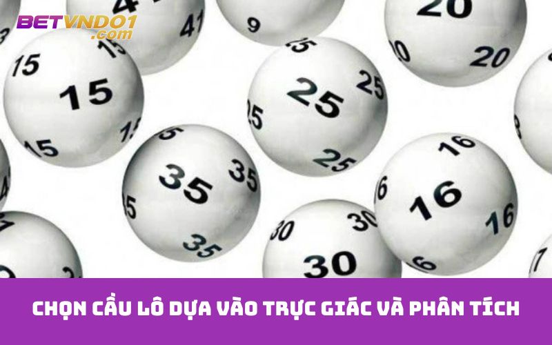 Chọn cầu lô dựa vào trực giác và phân tích