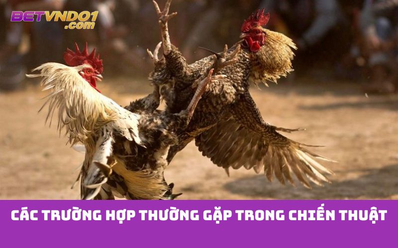 Các trường hợp thường gặp trong chiến thuật