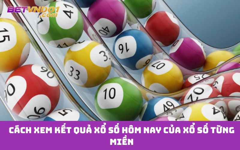 Cách xem kết quả xổ số hôm nay của xổ số từng miền