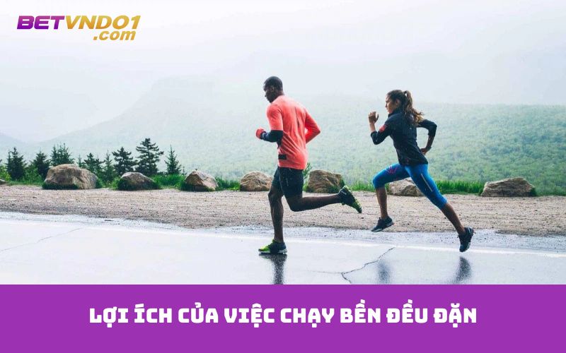 Lợi ích của việc chạy bền đều đặn