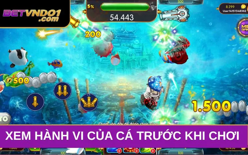 Hành vi của cá là điều cần tìm hiểu đầu tiên trong kỹ thuật bắn cá ngay khi cá xuất hiện