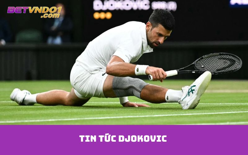 tin tức Djokovic