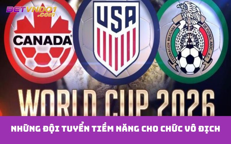 Những đội tuyển tiềm năng cho chức vô địch