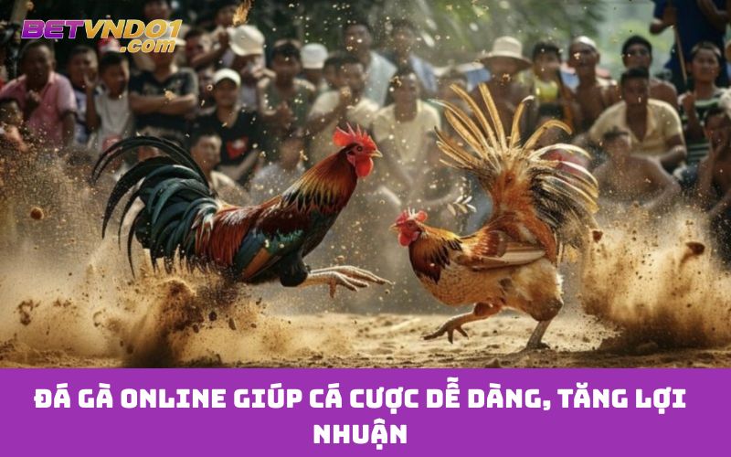 Đá gà online giúp cá cược dễ dàng, tăng lợi nhuận