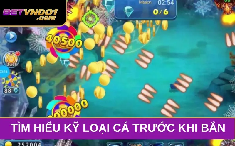 Xem xét kỹ loại cá nào phù hợp, tránh bắn loạn