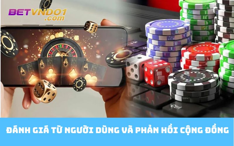 Đánh giá từ người dùng và phản hồi cộng đồng