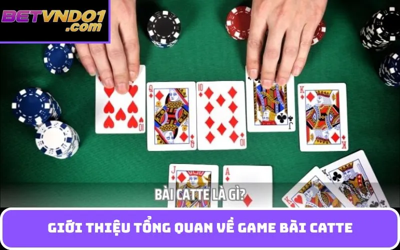 Giới Thiệu Tổng Quan Về game bài Catte