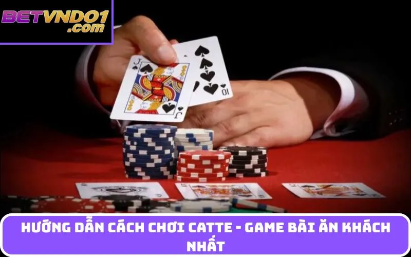 Hướng dẫn Cách chơi Catte - Game bài ăn khách nhất