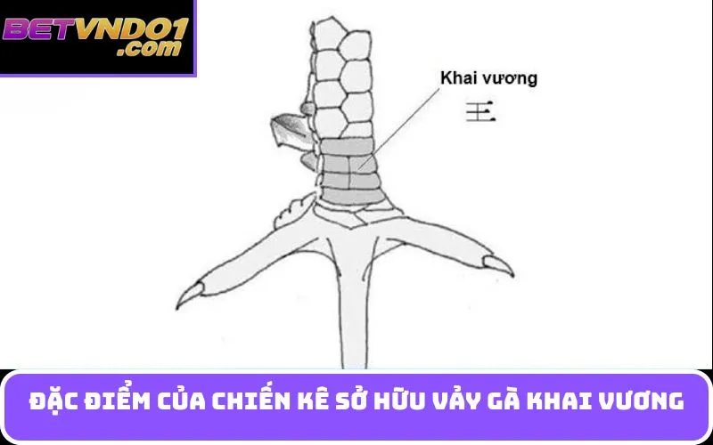 Đặc điểm của chiến kê sở hữu Vảy gà khai vương