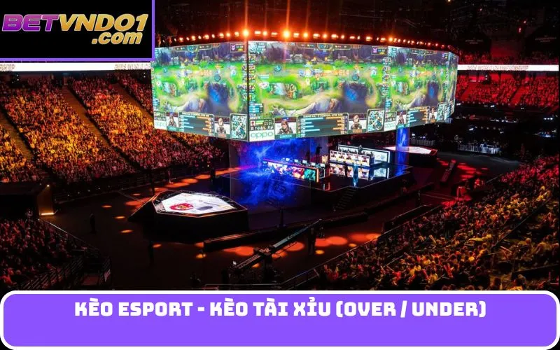Kèo Esport - Kèo Tài Xỉu (Over / Under)