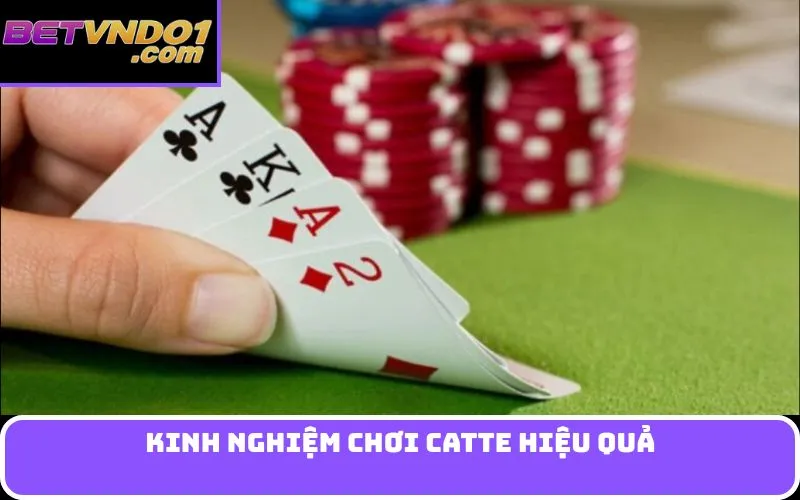 Kinh nghiệm chơi Catte hiệu quả