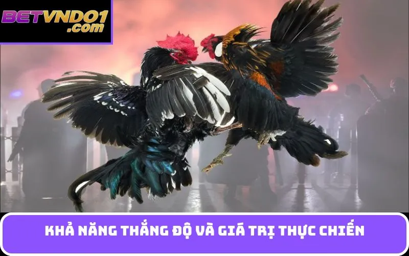 Khả năng thắng độ và giá trị thực chiến