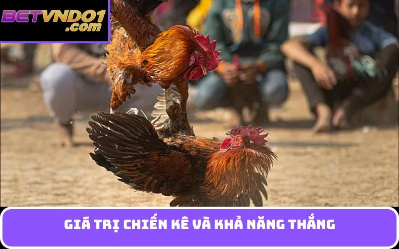 Giá trị chiến kê và khả năng thắng