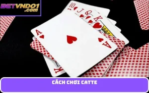 cách chơi Catte