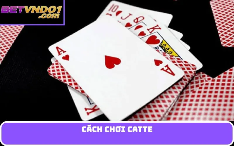 cách chơi Catte