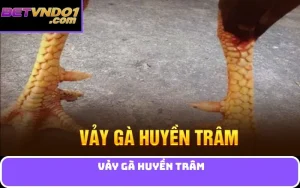 Vảy gà huyền trâm