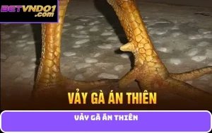 vảy gà án thiên