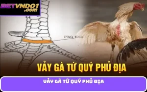 vảy gà tứ quý phủ địa