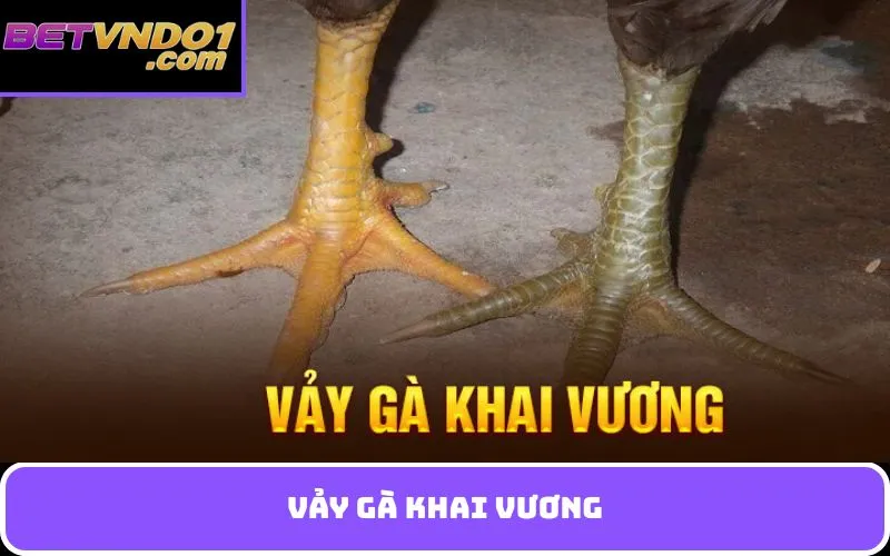 vảy gà khai vương
