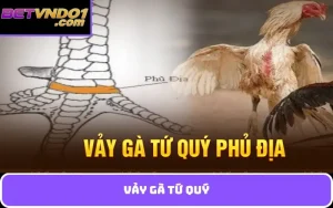 vảy gà tứ quý