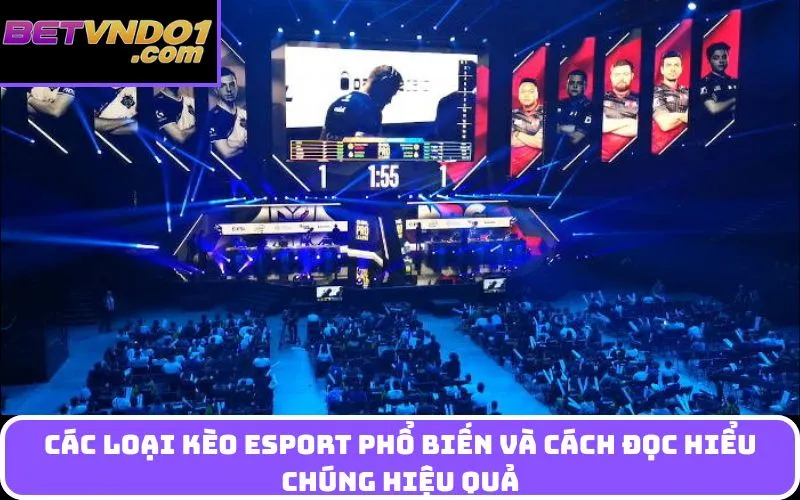 Các Loại Kèo Esport Phổ Biến Và Cách Đọc Hiểu Chúng Hiệu Quả