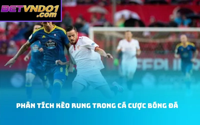 Phân Tích Kèo Rung Trong Cá Cược Bóng Đá