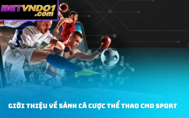Giới thiệu về sảnh cá cược thể thao CMD Sport