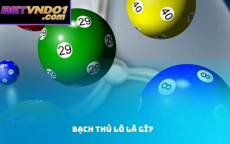 Bạch thủ lô là gì?