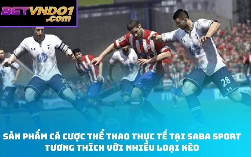 Sản phẩm cá cược thể thao thực tế tại Saba Sport tương thích với nhiều loại kèo