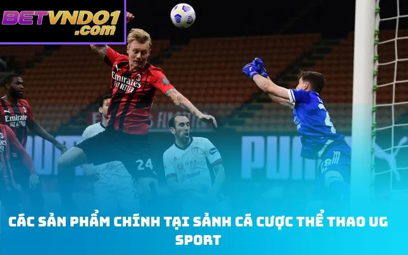 Các Sản Phẩm Chính Tại Sảnh Cá Cược Thể Thao UG Sport