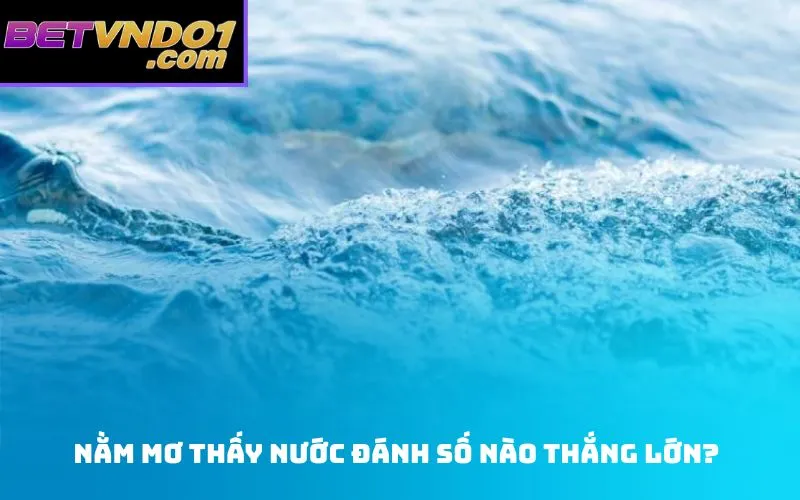 Nằm mơ thấy nước đánh số nào thắng lớn?