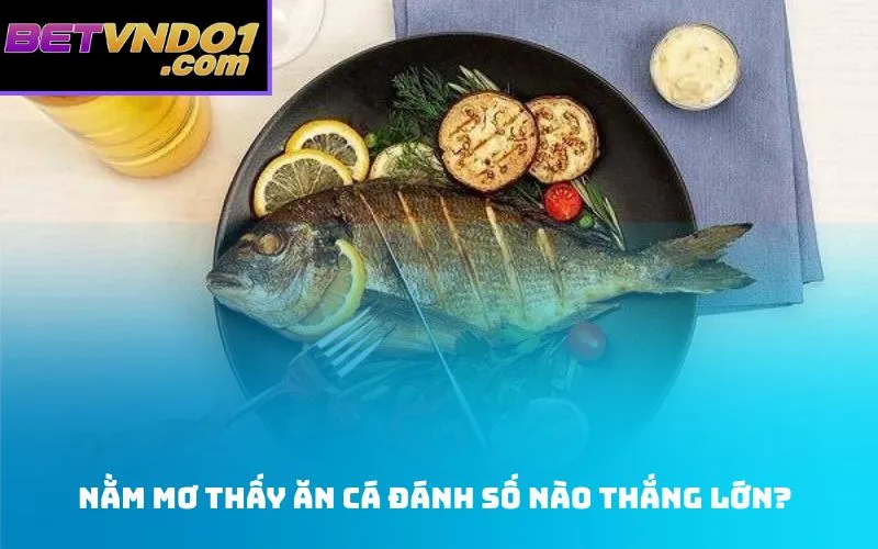 Nằm mơ thấy ăn cá đánh số nào thắng lớn?